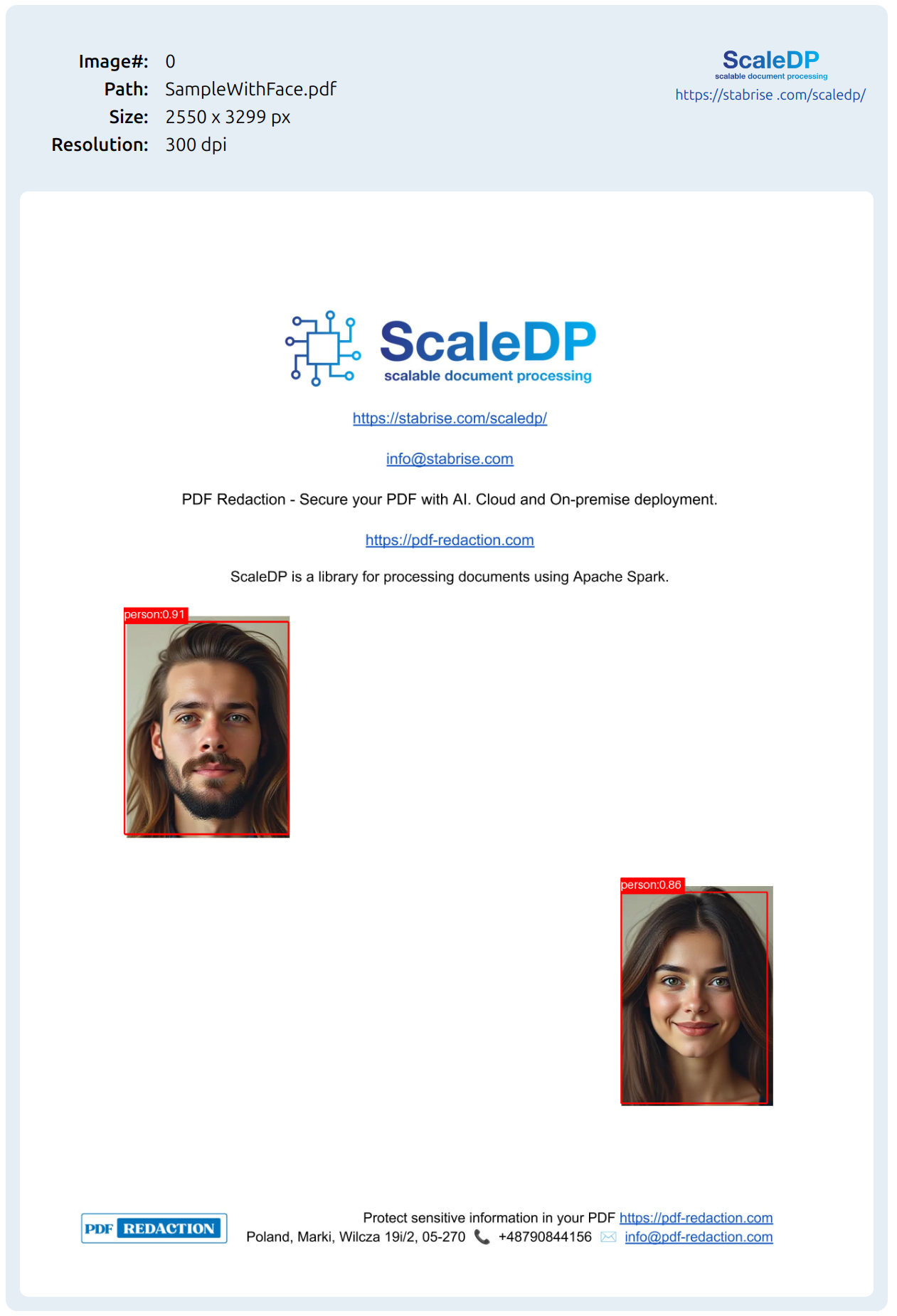 img_yolo_detection_results